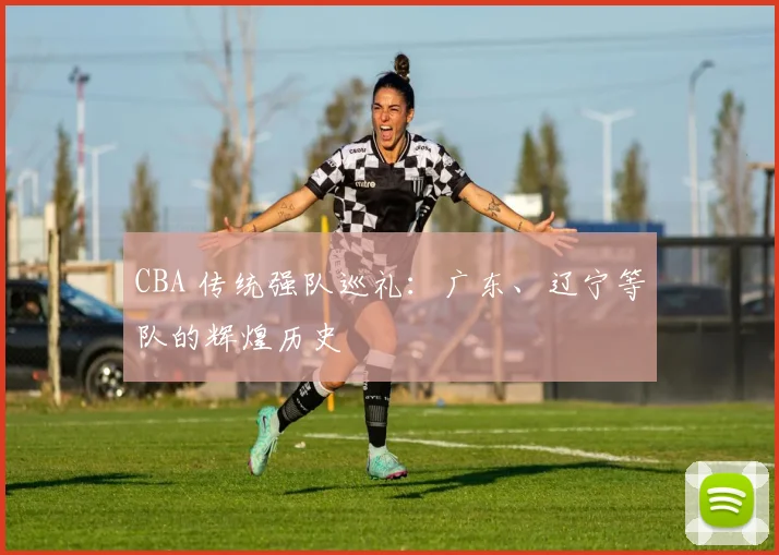 CBA 传统强队巡礼:广东、辽宁等队的辉煌历史