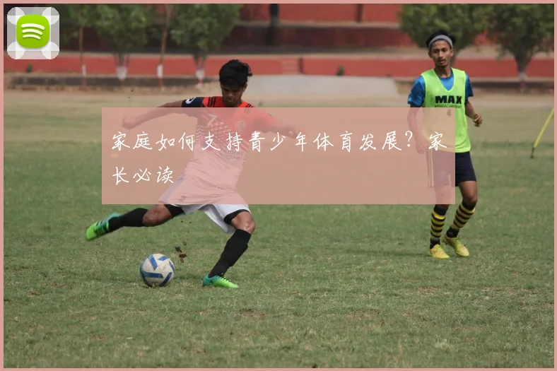家庭如何支持青少年体育发展?家长必读