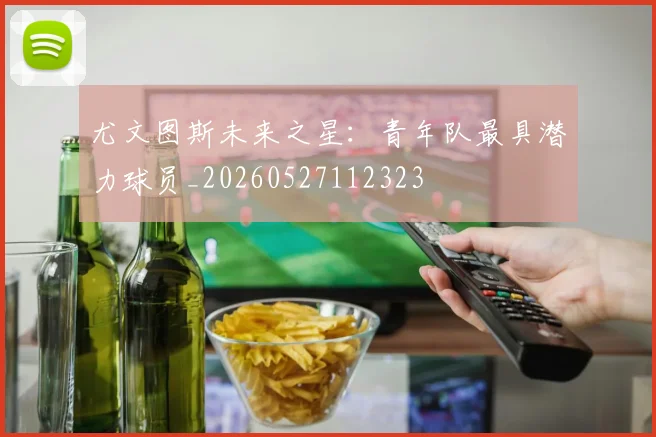 尤文图斯未来之星:青年队最具潜力球员_20260527112323