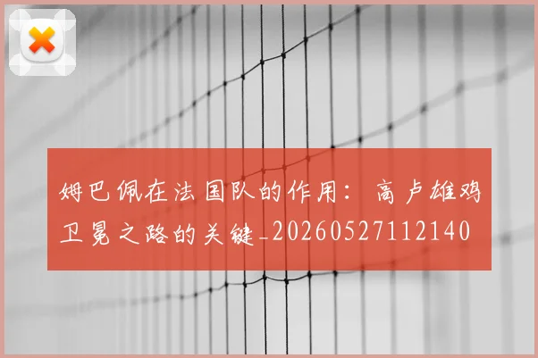姆巴佩在法国队的作用:高卢雄鸡卫冕之路的关键_20260527112140